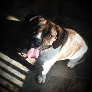 Meet your Posher, Toni